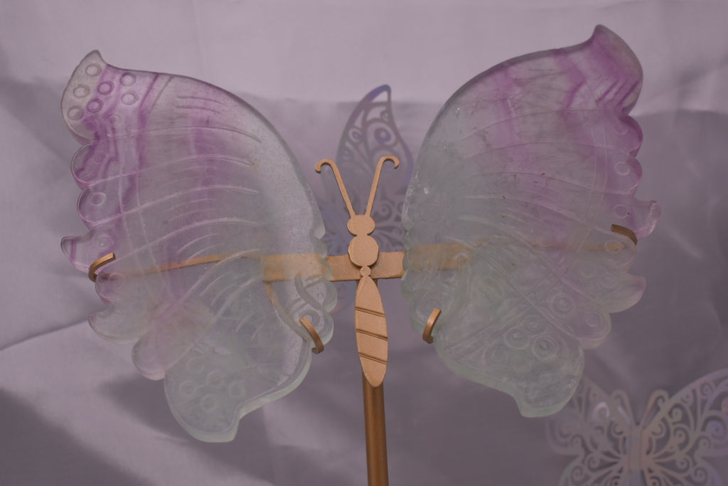 Fluorite wings