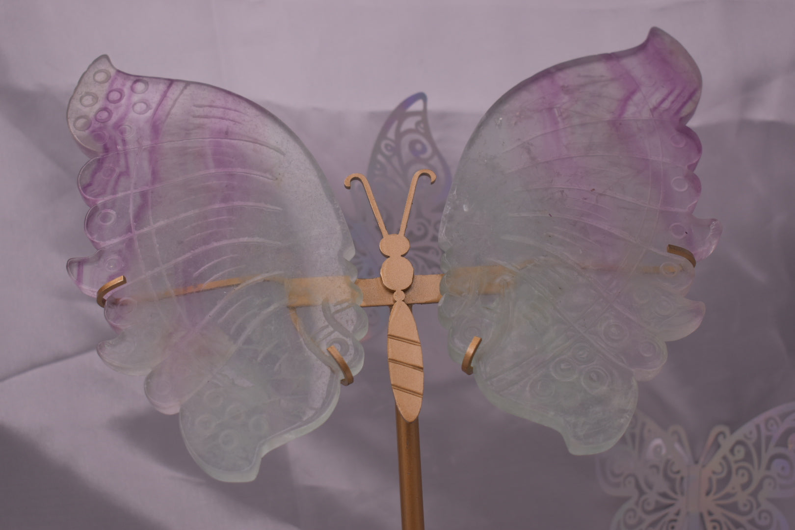 Fluorite wings